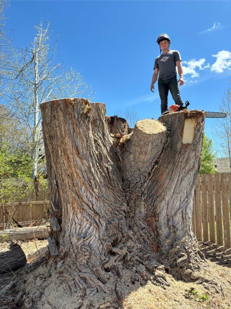 Ramsey Mangus, Founder of TreeBidNow